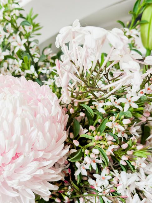 A close-up image of a floral arrangement featuring a large, soft pink dahlia with numerous layered petals, complemented by delicate white and pale pink waxflower blooms with small, star-shaped petals
