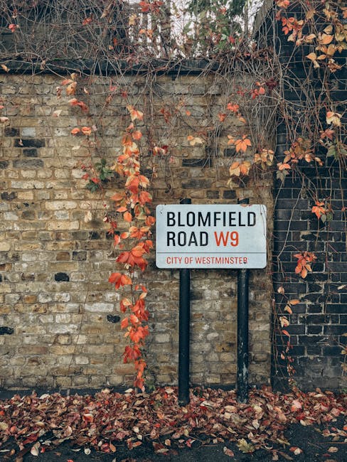 The image features a rectangular street sign for Bloomsfield Road W9, located in the City of Westminster, mounted on two black metal posts in front of a weathered brick wall. The brick wall is partial