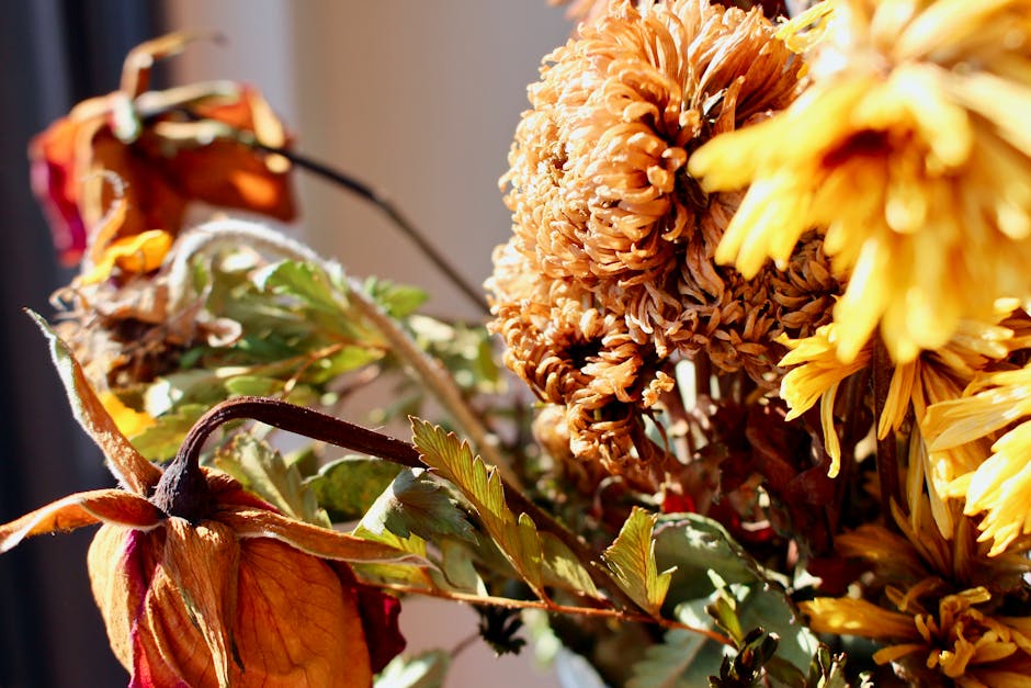 Close-up of a wilted floral arrangement featuring yellow chrysanthemums with drooping petals and browned edges, alongside withered orange and red roses and faded green leaves, arranged in a glass vase