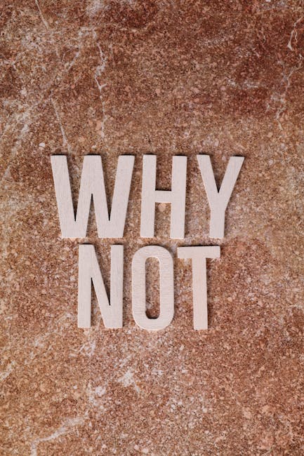 The image features a textured, reddish-brown surface with the words 'WHY NOT' displayed prominently in large, white, uppercase letters arranged vertically. The background appears to be a rough, possib